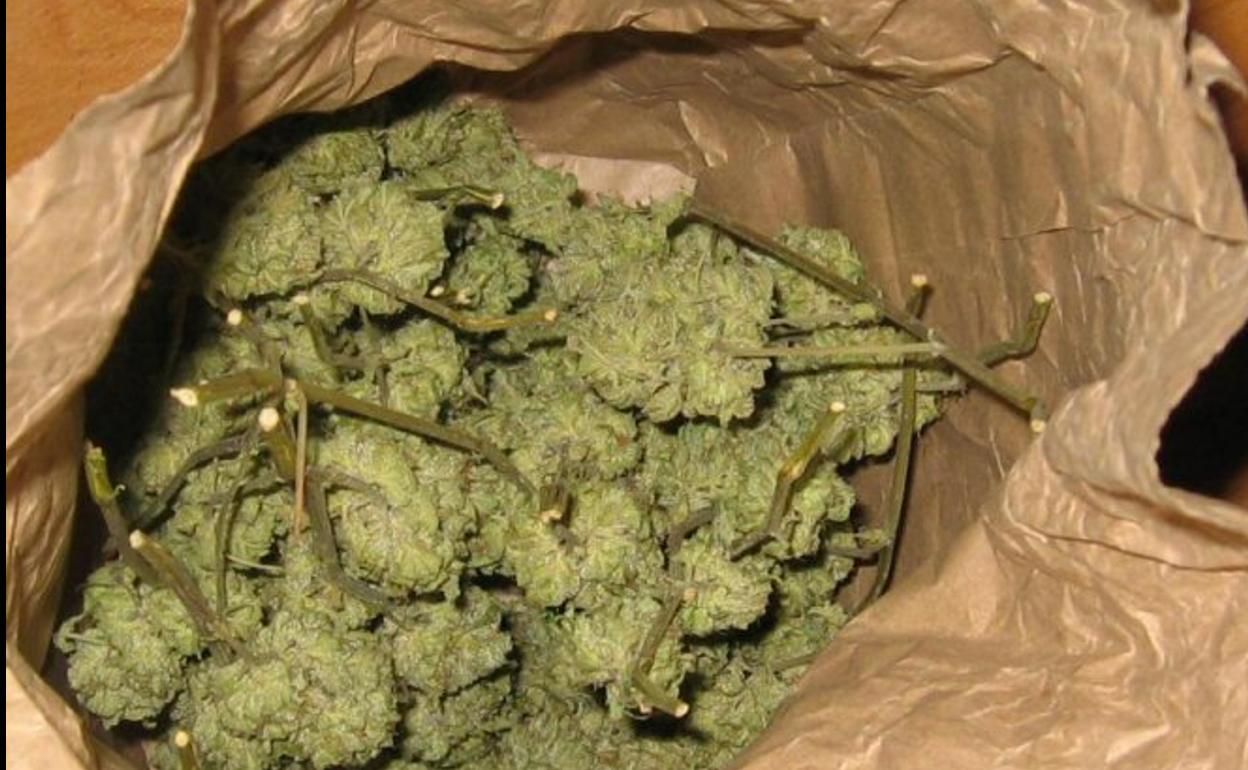 Imagen de archivo de cogollos de marihuana. 