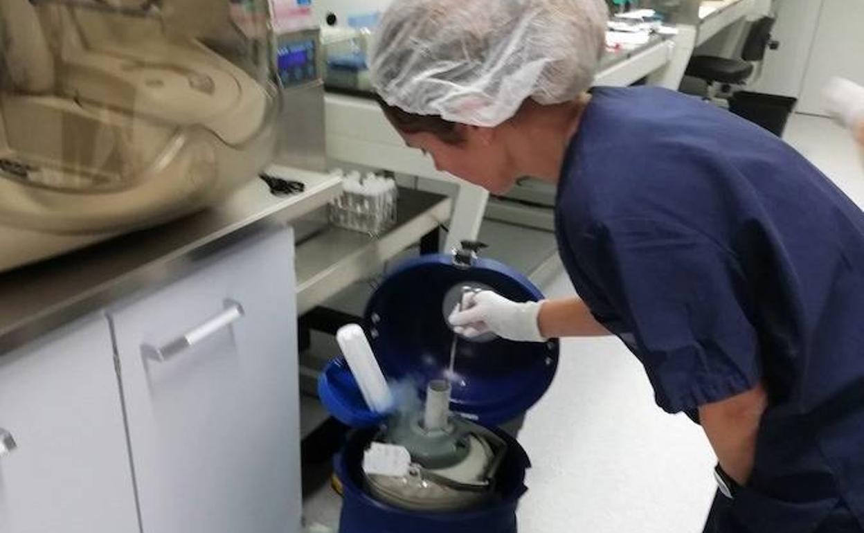 Laboratorio donde se realiza la investigación.