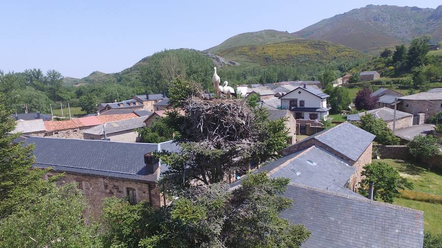 Fotos: Momentos del #retoBttBierzoBabia organizado por la Fundación Bas Van der Goor