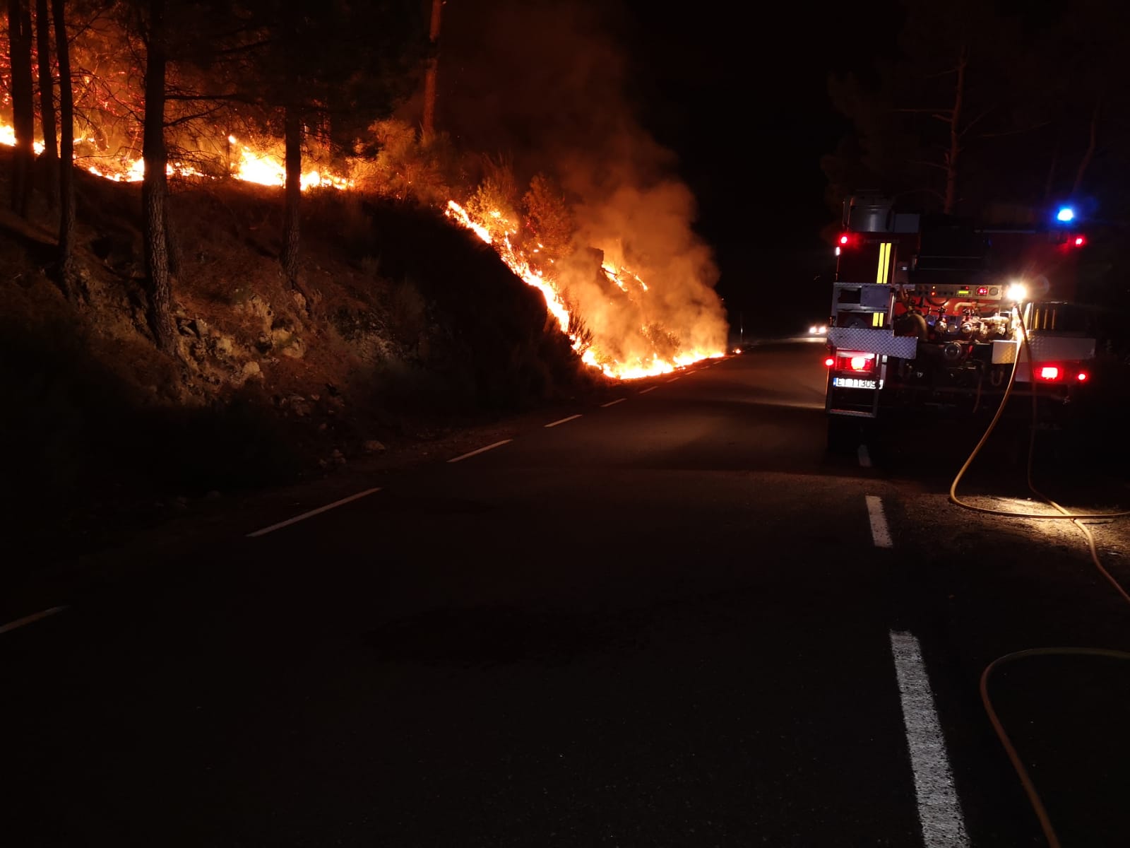 Fotos: La UME actúa en Ávila