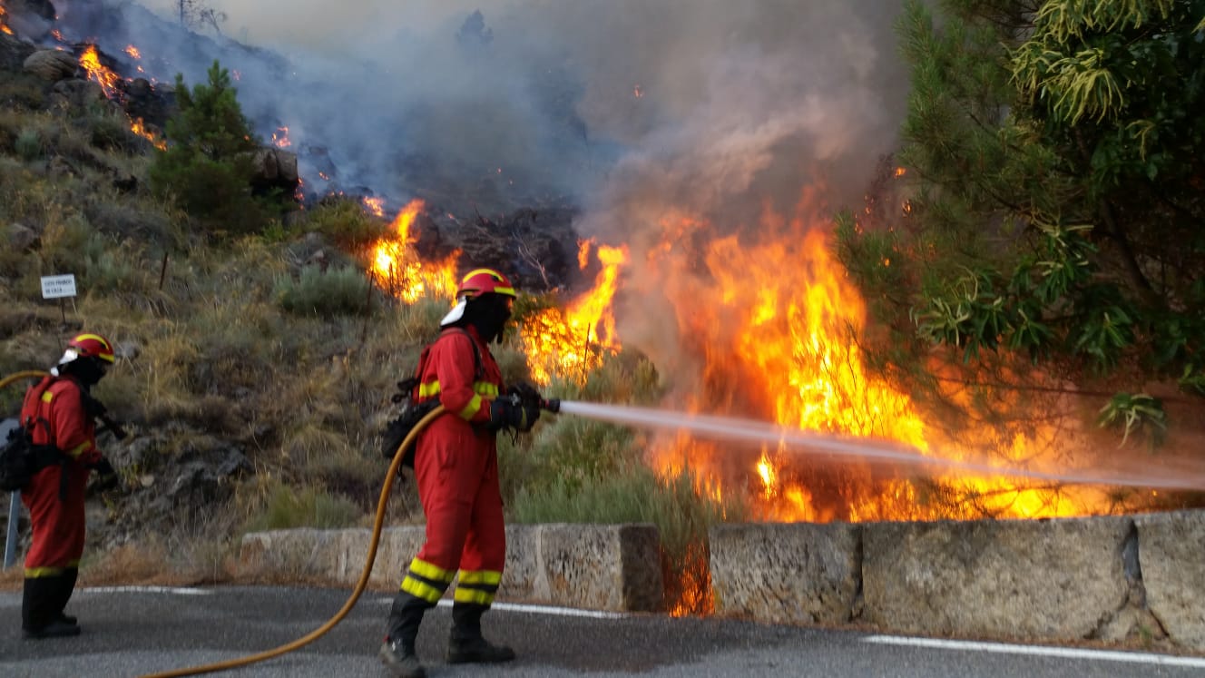 Fotos: La UME actúa en Ávila