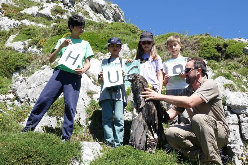 Fotos: Huego ya vuela en Picos de Europa