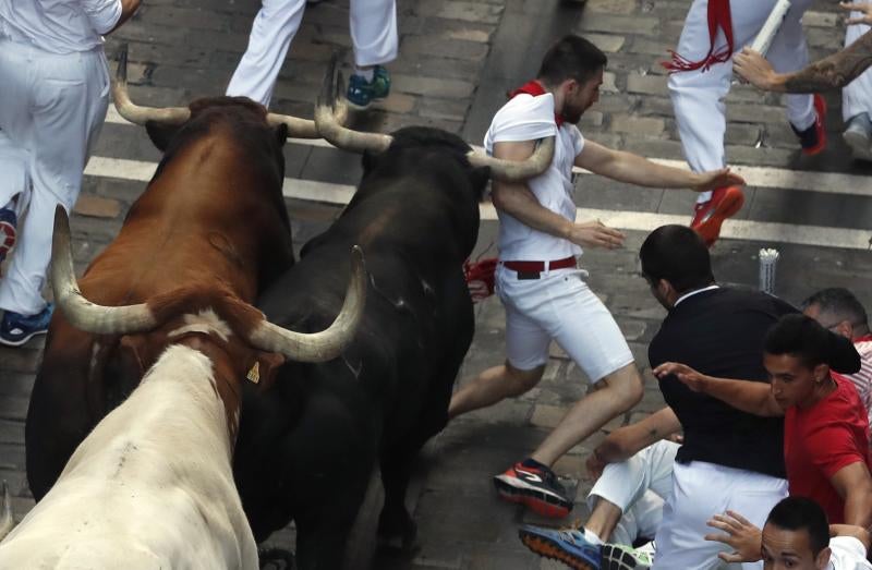 Fotos: Los debutantes de La Palmosilla ponen emoción al séptimo encierro