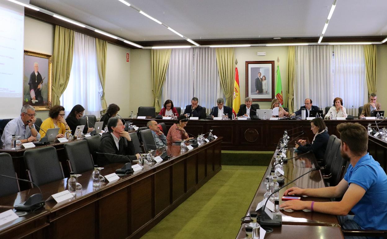 Un momento del Consejo de Gobierno de la Universidad de León. 