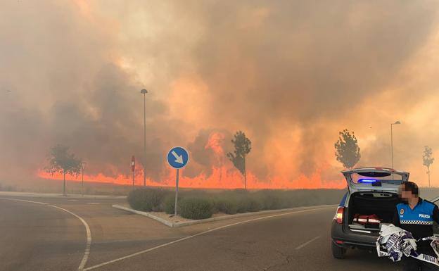 Arden más de seis hectáreas de cereal en los accesos al centro comercial RÍO Shopping en Valladolid. Un tractor ha evitado que las llamas se propagaran realizando un milagroso cortafuegos en pocos minutos