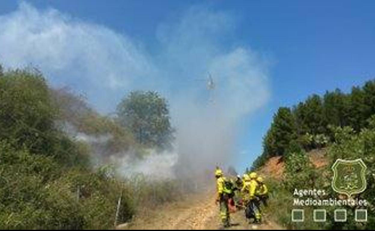 Actuación de los agentes.