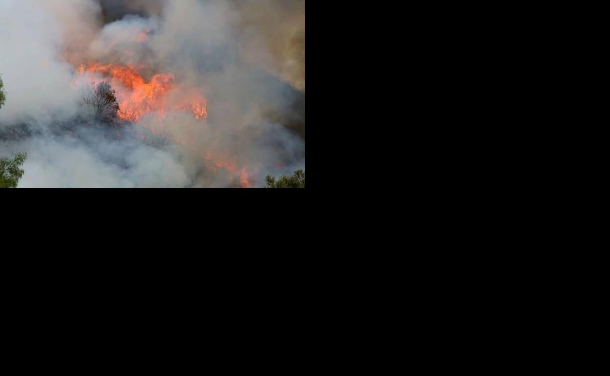 Imagen de un incendio en León. 