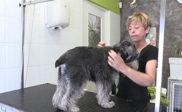 Una clienta con su perro en la Clínica Veterinaria de La Bañeza.