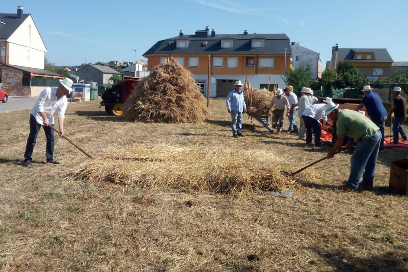 Fotos: Fiesta de la Maja en Camponaraya