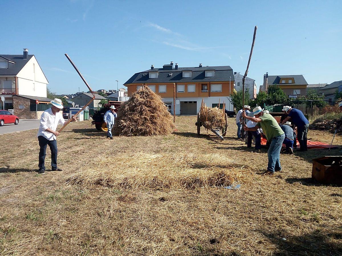 Fotos: Fiesta de la Maja en Camponaraya