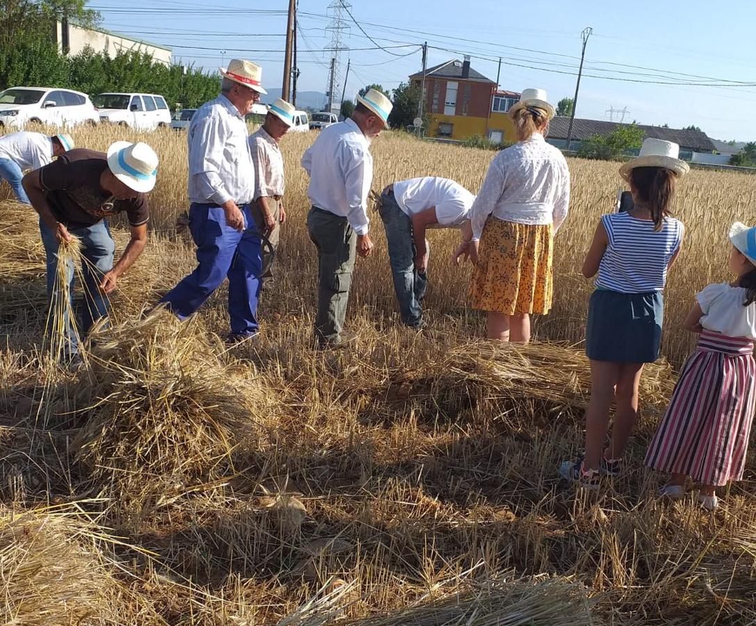 Fotos: Fiesta de la Maja en Camponaraya