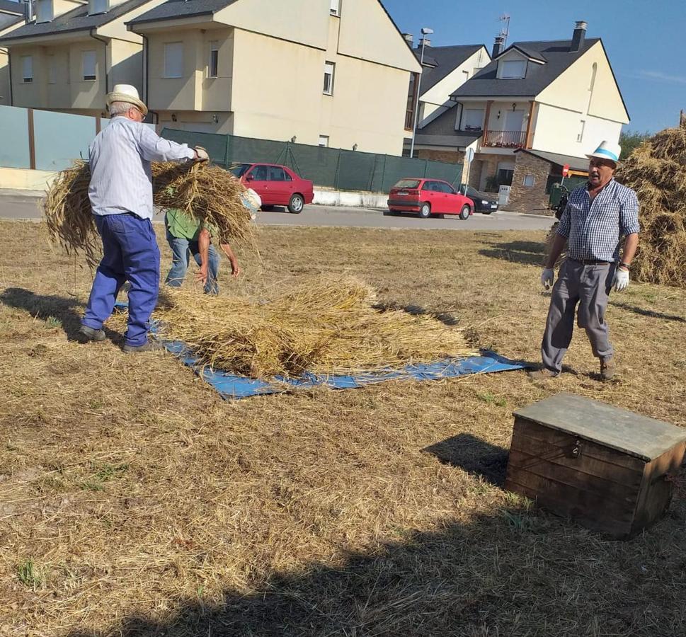 Fotos: Fiesta de la Maja en Camponaraya