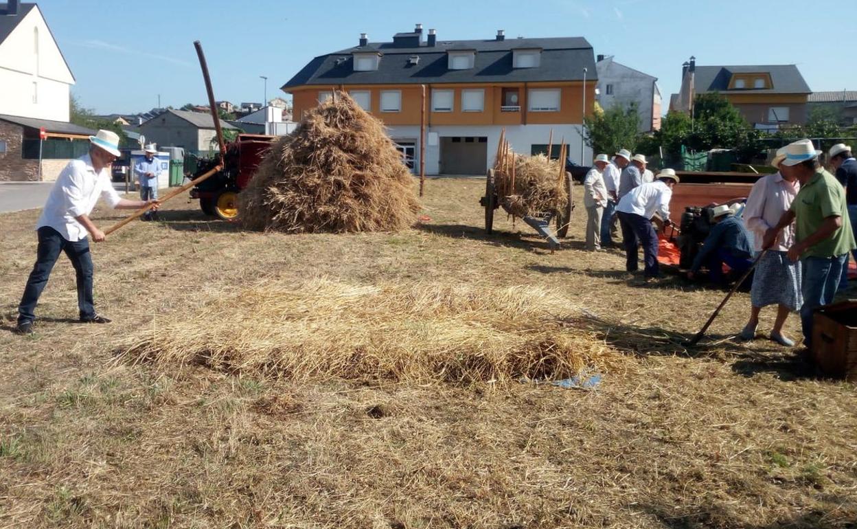 Vecinos de Camponaraya segando.