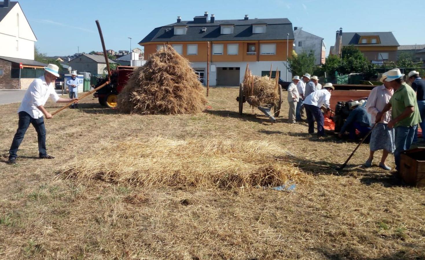 Fotos: Fiesta de la Maja en Camponaraya