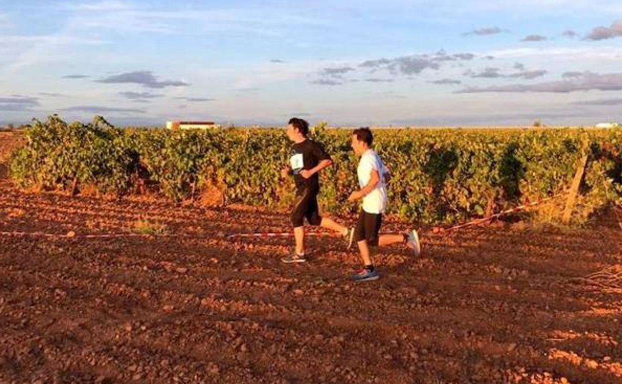 Carrera entre viñedos. 