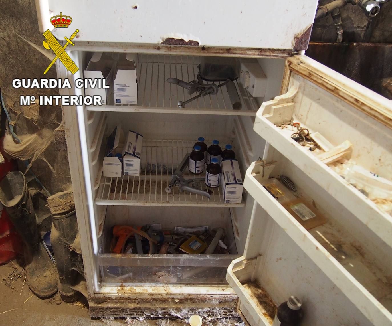 Fotos: La Guardia Civil destapa una trama de administración irregular de medicamentos animales