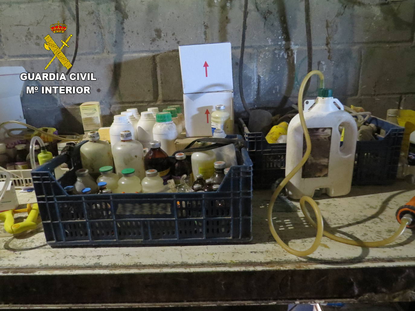 Fotos: La Guardia Civil destapa una trama de administración irregular de medicamentos animales