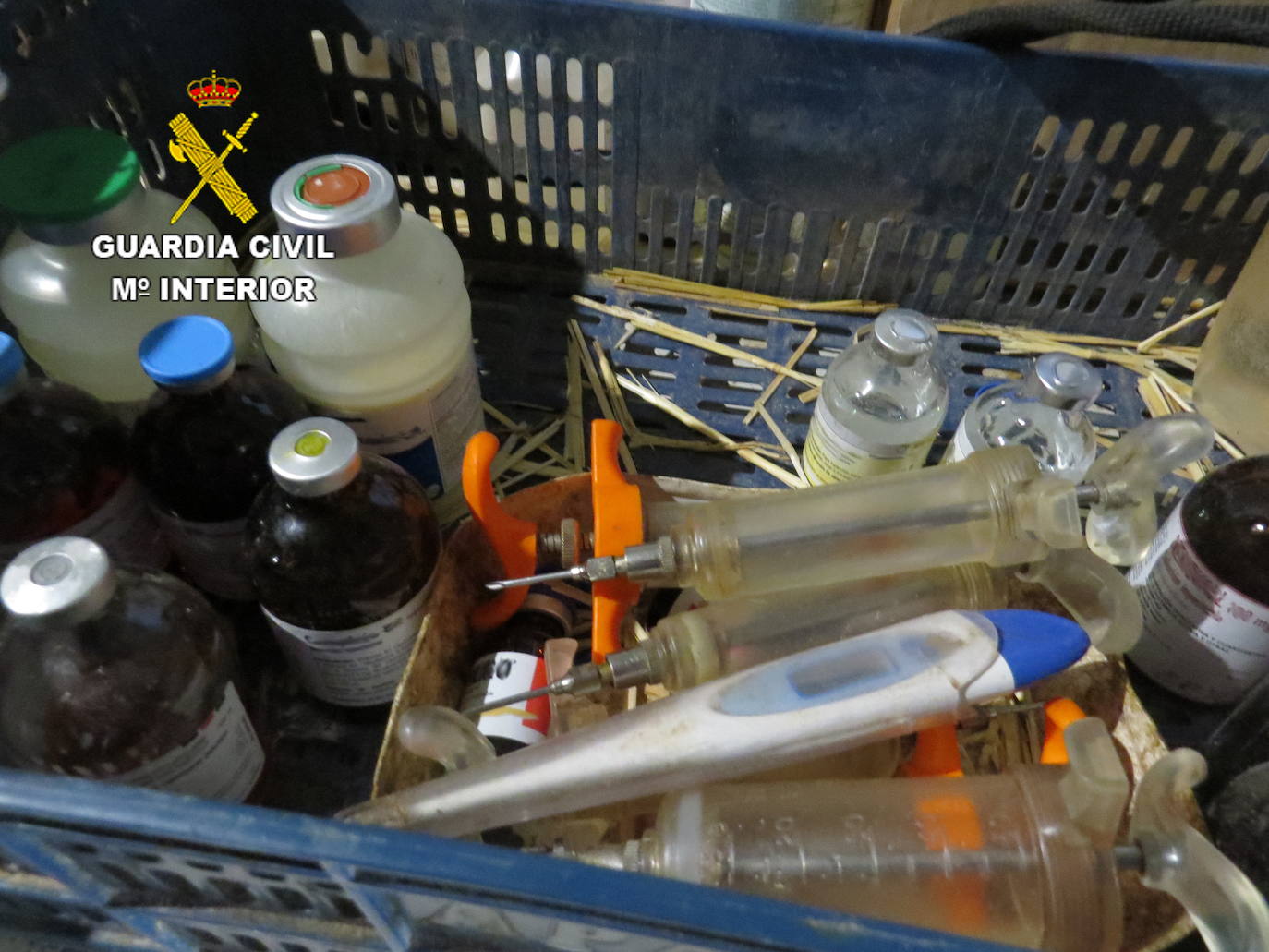 Fotos: La Guardia Civil destapa una trama de administración irregular de medicamentos animales