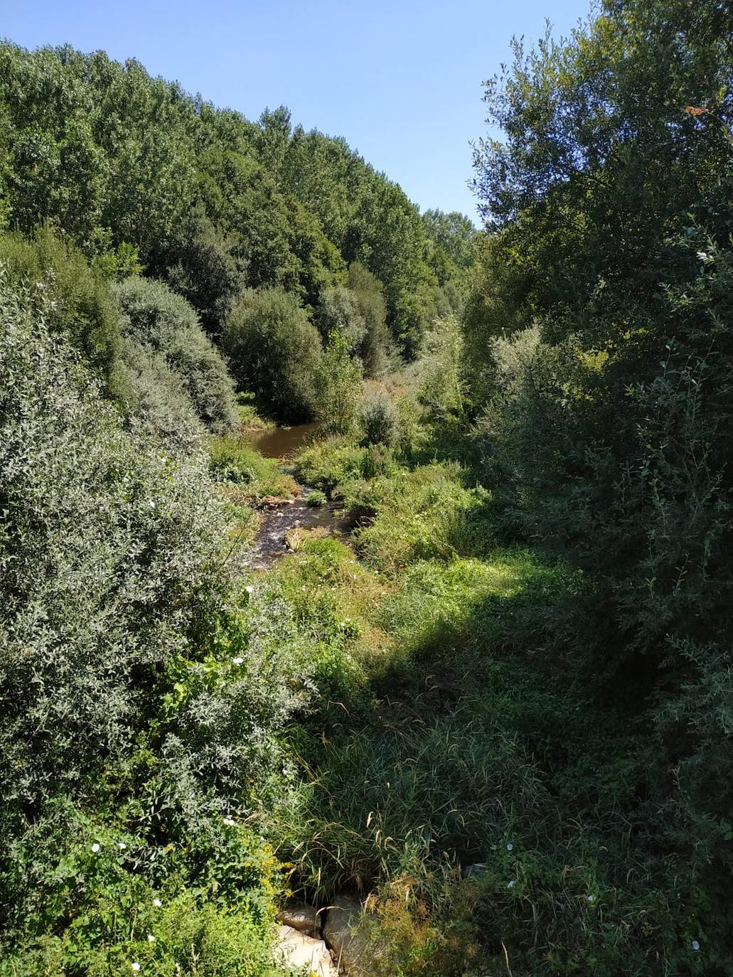 Vista del cauce del río Tuerto. 