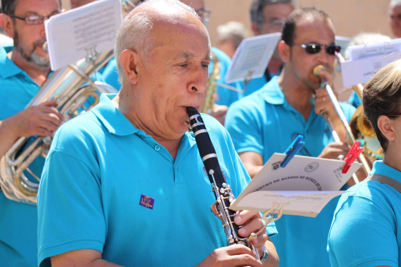 Los pendones de la comnarca lucen en el Día de Asturias en Valencia de Don Juan. 