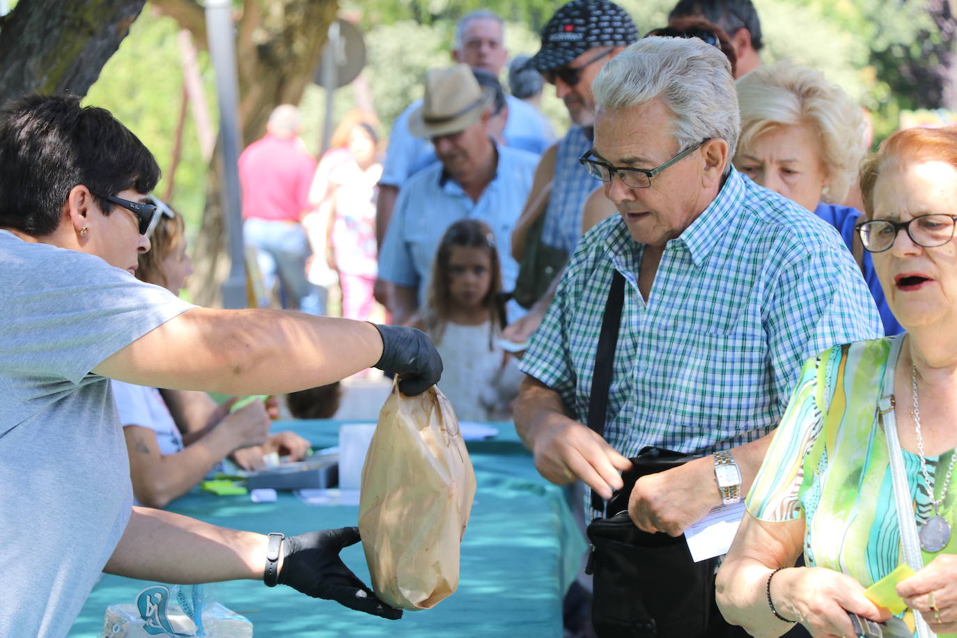 Los pendones de la comnarca lucen en el Día de Asturias en Valencia de Don Juan. 
