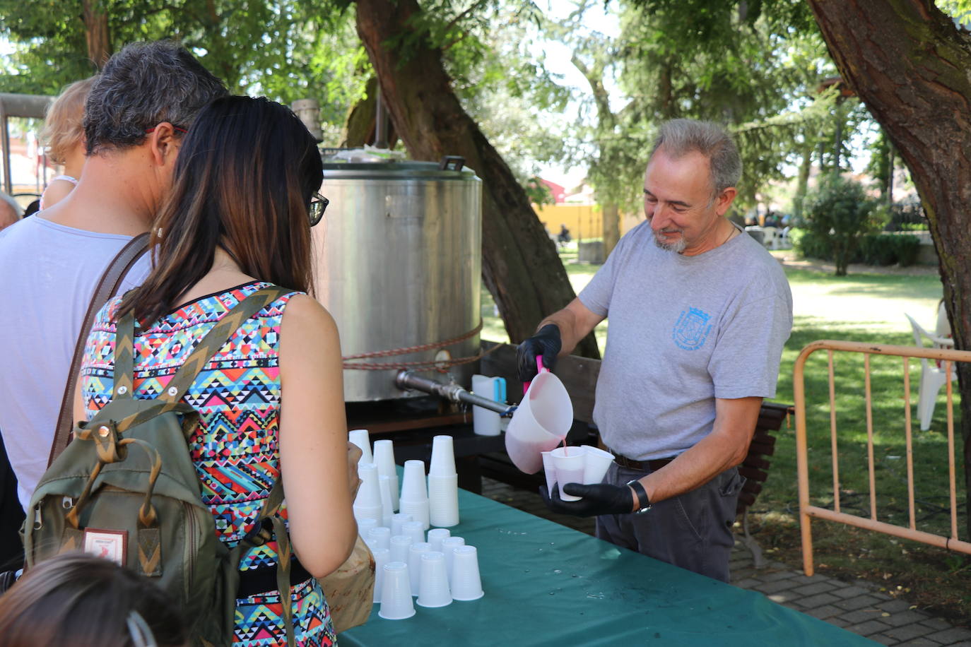 Los pendones de la comnarca lucen en el Día de Asturias en Valencia de Don Juan. 