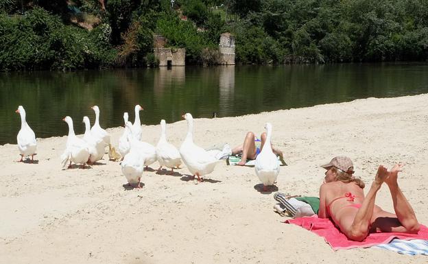 Playa de Las Moreras, en Valladolid. 