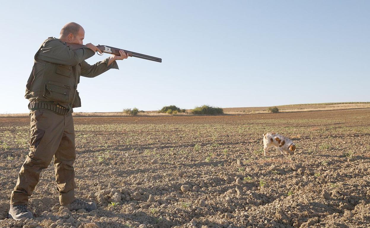 Un cazador de la localidad zamorana de Entrala durante el inicio de la media veda de caza en Castilla y León.