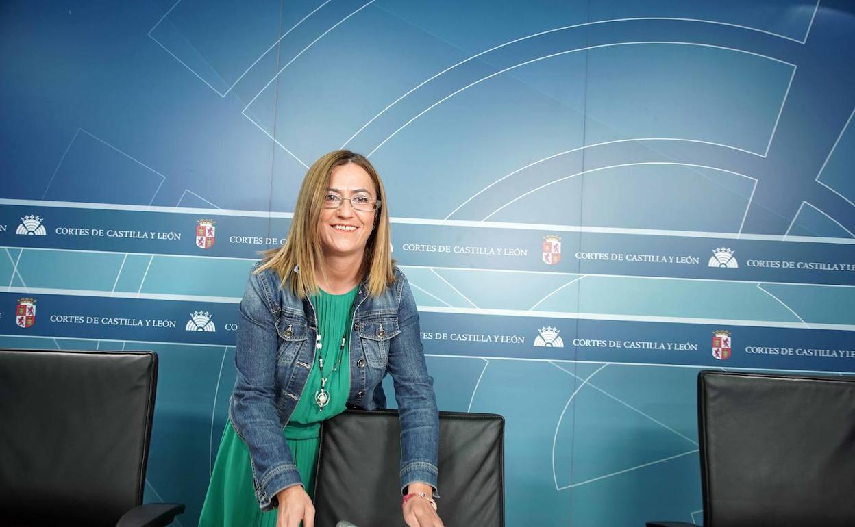 La vicesecretaria general del PSOE de Castilla y León y viceportavoz del Grupo Socialista en las Cortes, Virginia Barcones.