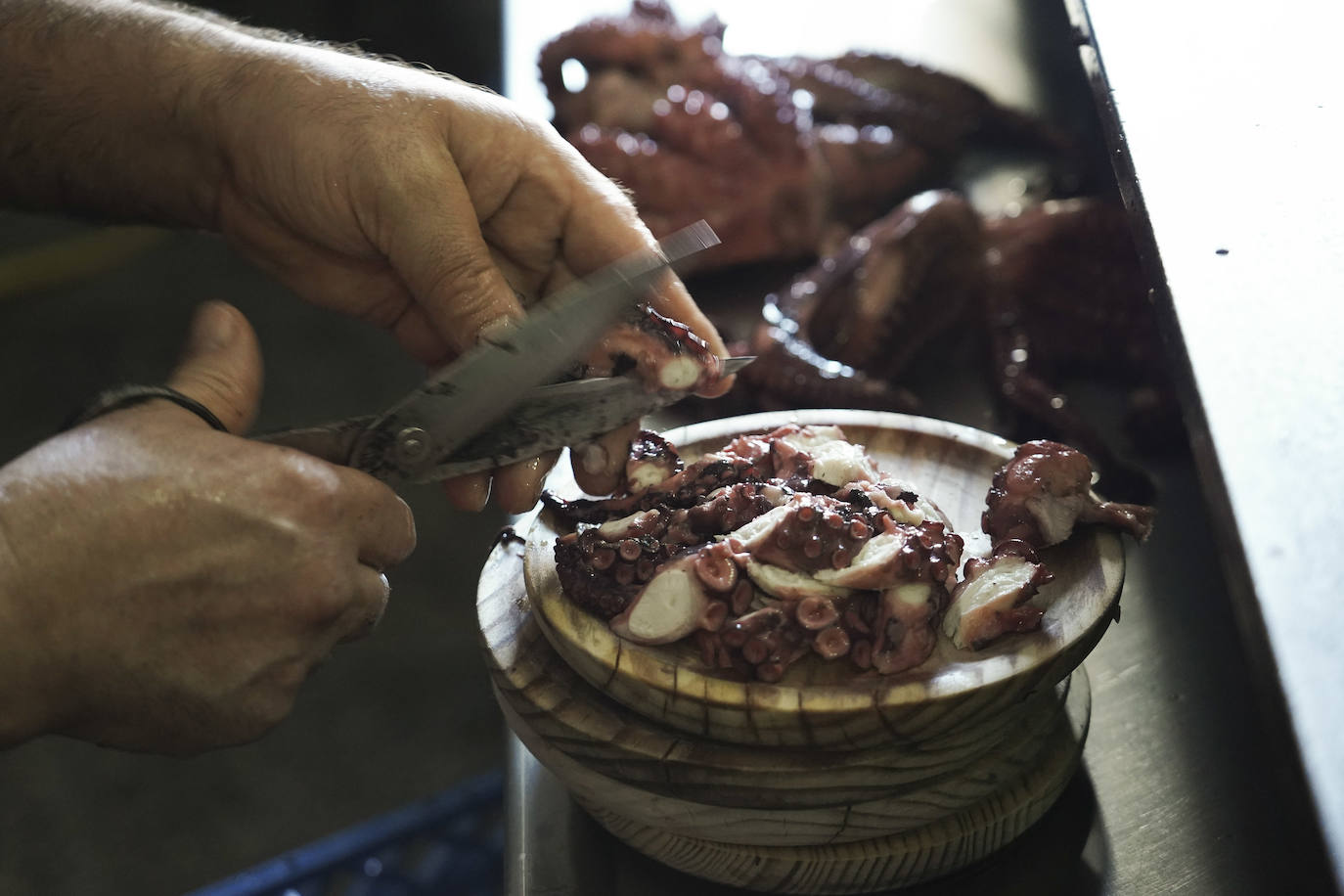 Fotos: El mejor pulpo del Camino, en manos de un lacianiego