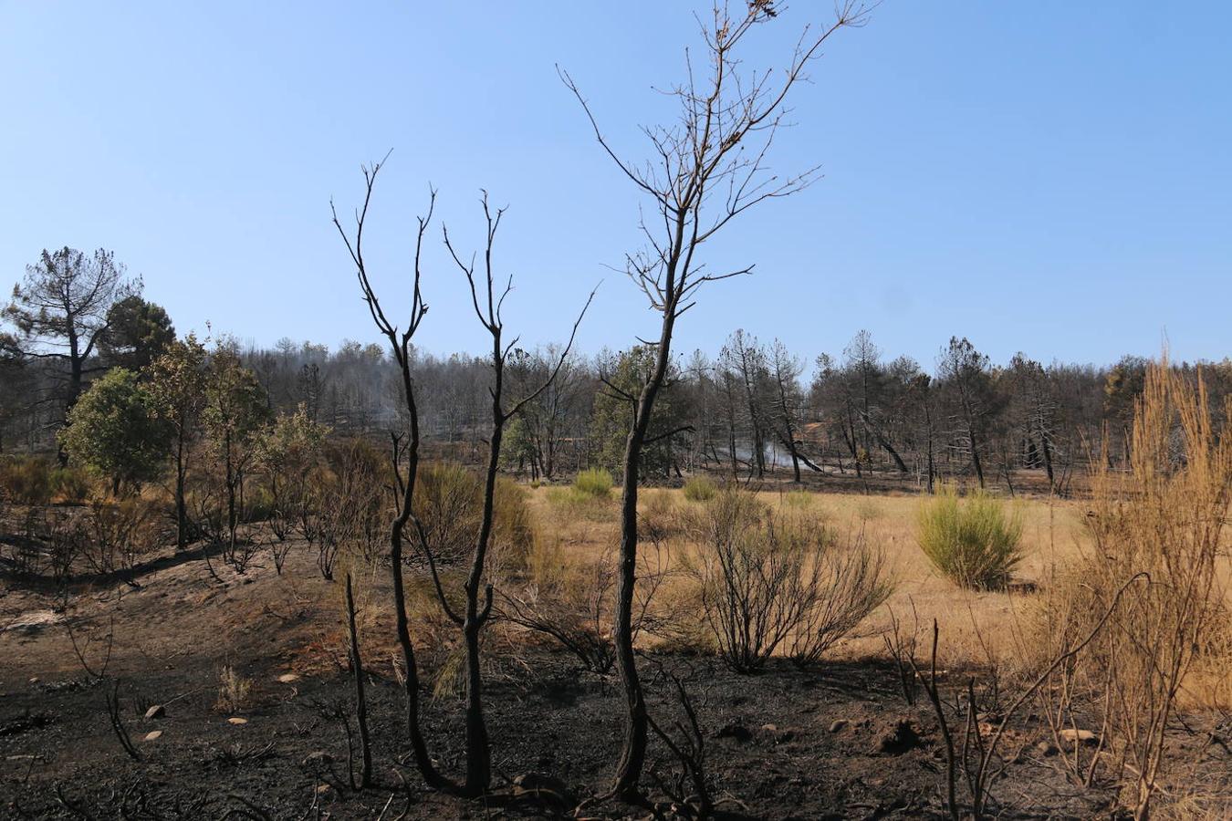 Fotos: Los restos del incendio de Villapadierna