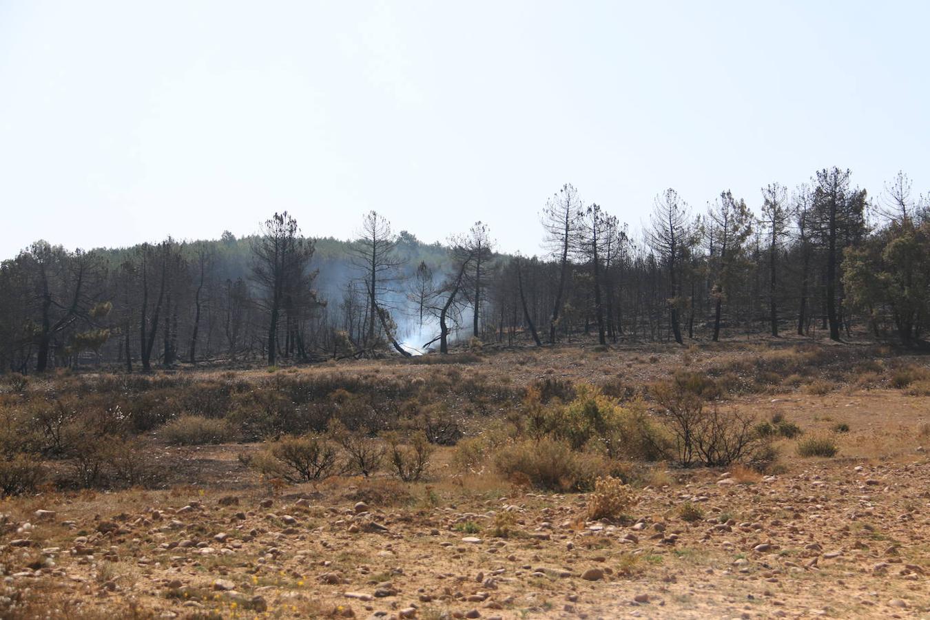 Fotos: Los restos del incendio de Villapadierna