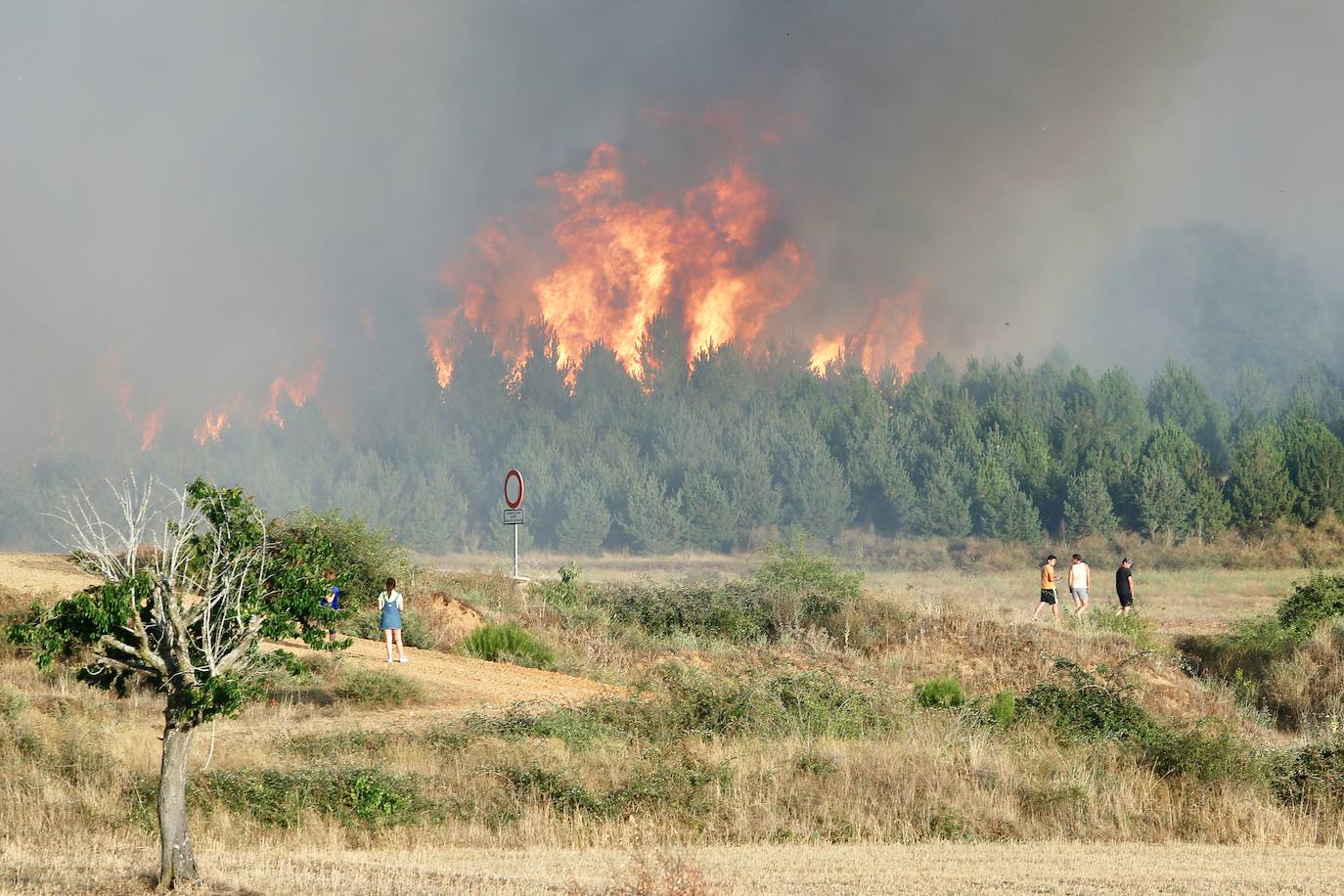 Incendio forestal en la localidad leonesa de Villapadierna.