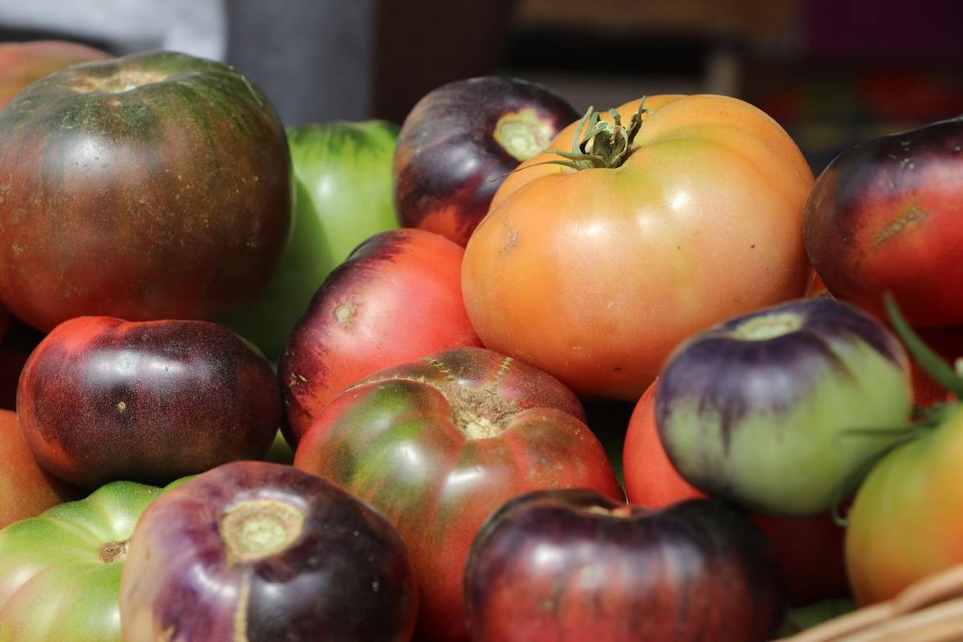 Fotos: 30 años celebrando con tomate