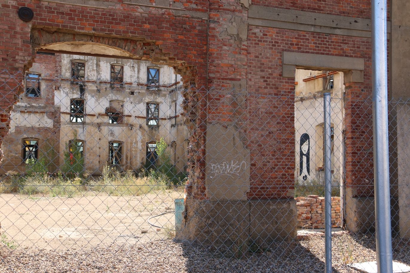 Afrodita sobre una pared del esqueleto del Palacio de Congresos de León.