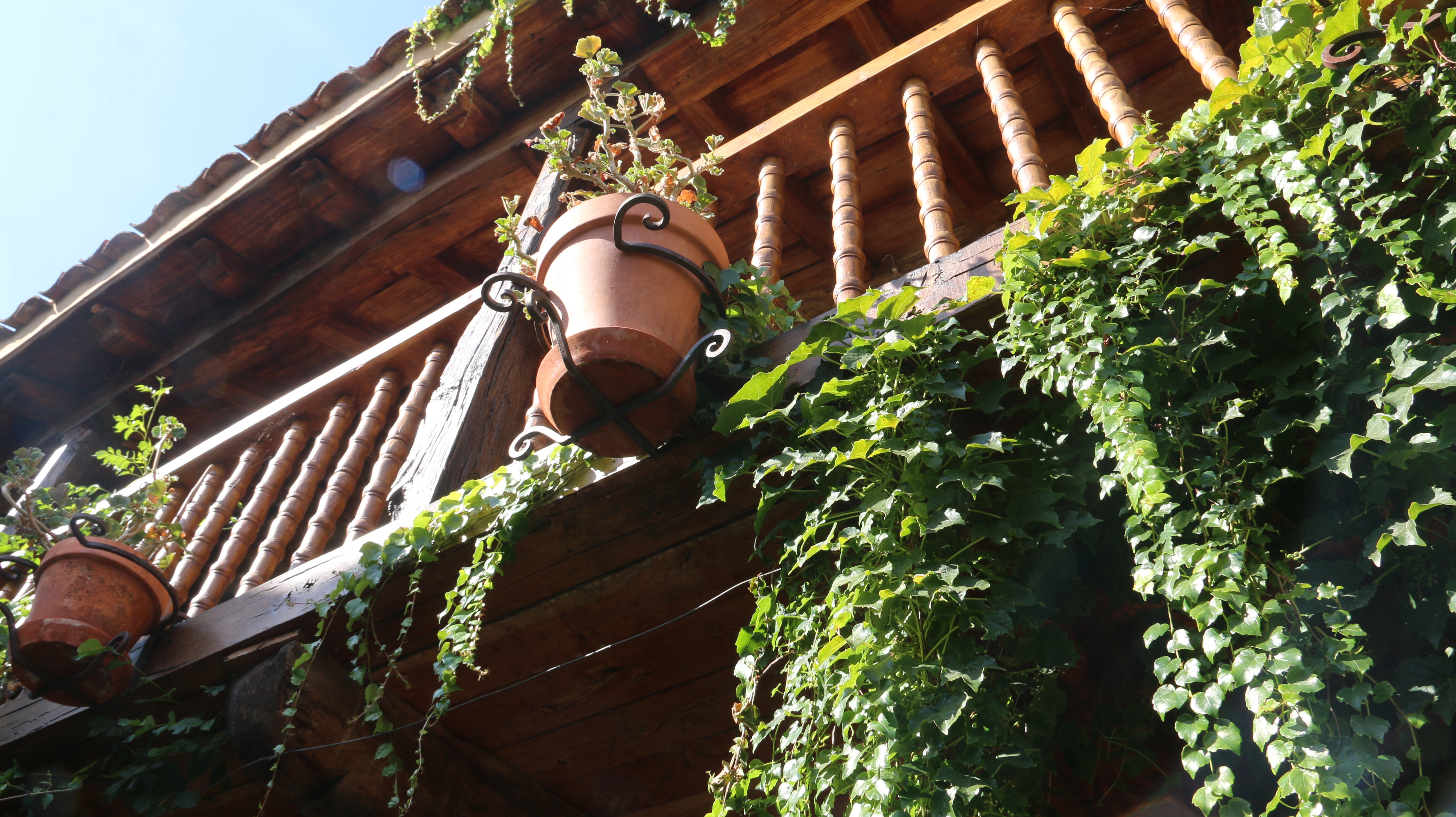 El paso del tiempo no ha mellado en un solo detalle los patios empedrados de esta localidad que este viernes ha abierto sus puertas en una nueva edición de 'Patios con arte'.