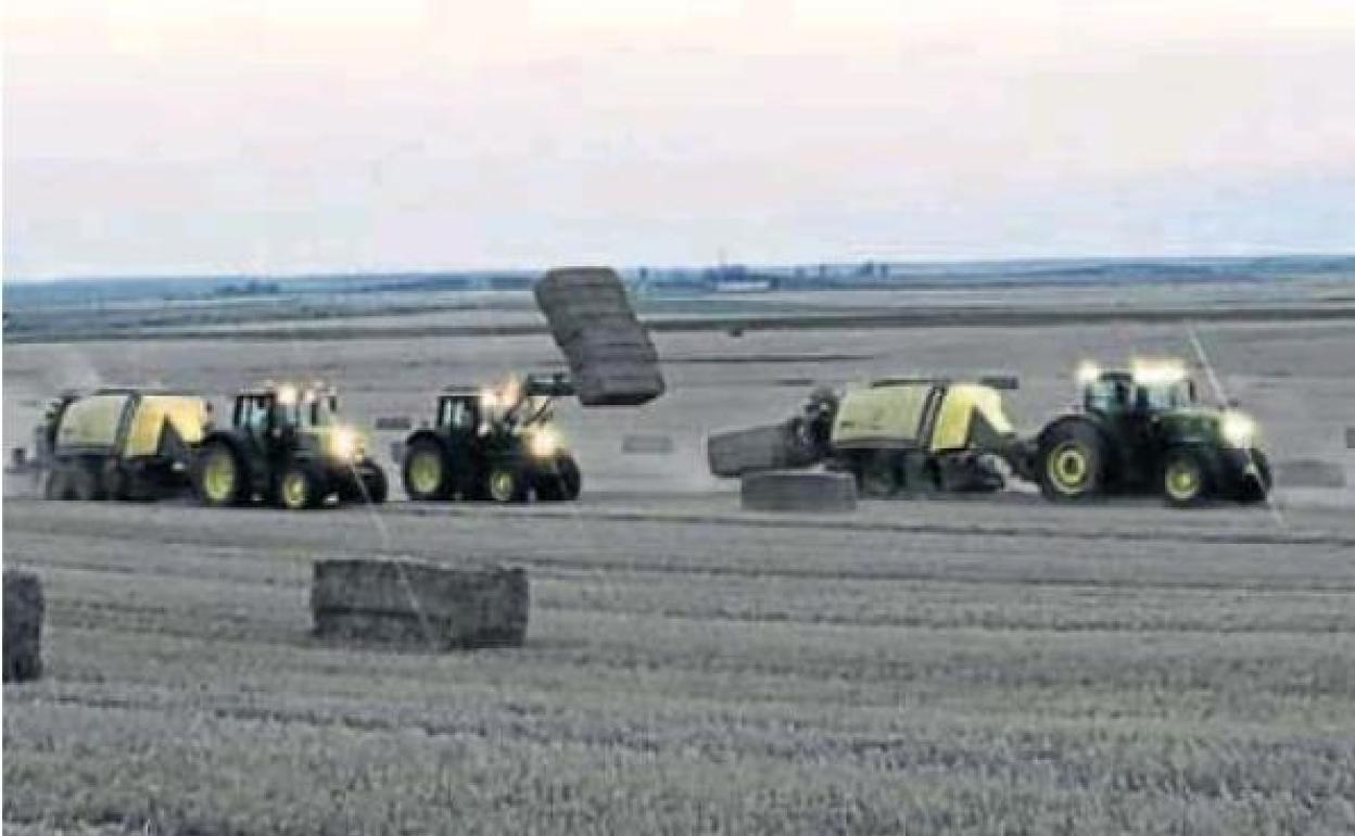 Los operarios de una empresa de Paredes de Nava, Palencia, mientras están empacando.