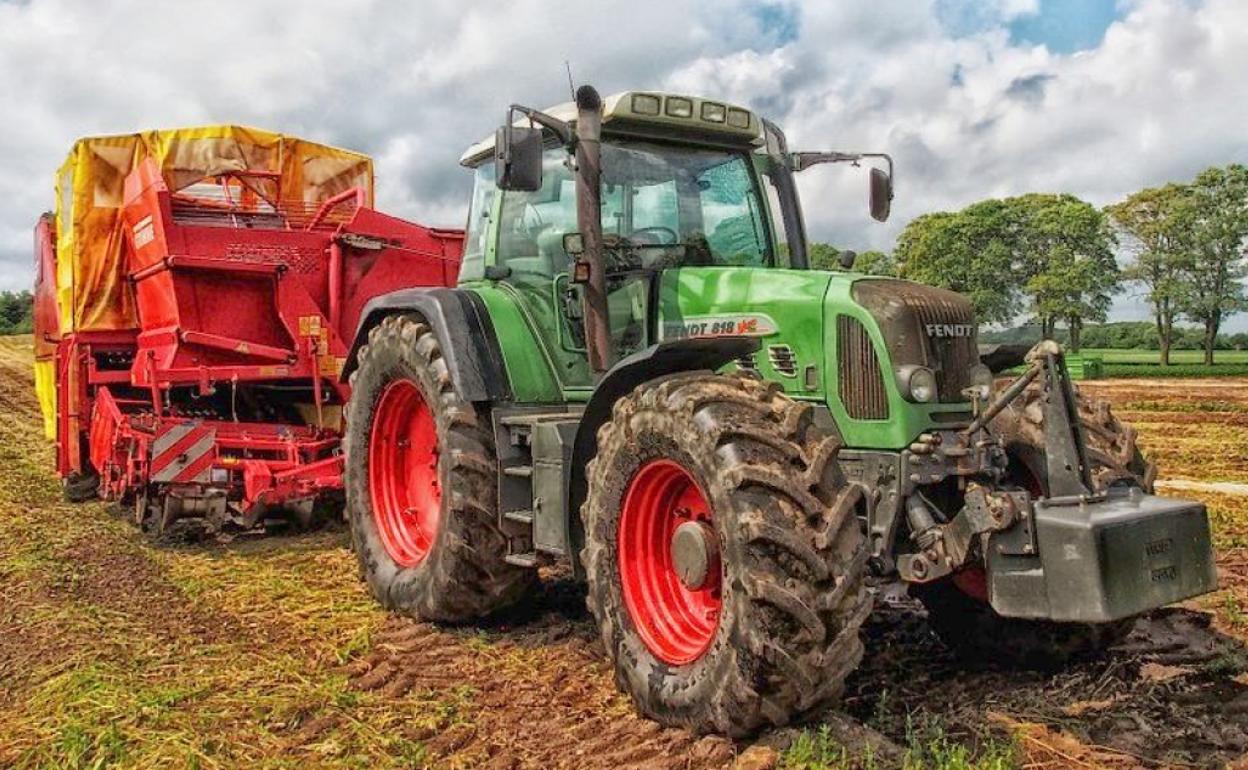 La agricultura se ha convertido en el motor del empleo en León durante el mes de agosto.