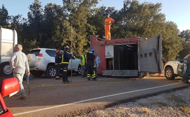 Camión cargado de novillos volcado en la P-405.