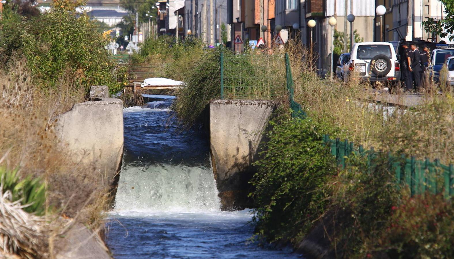 Fotos: Aparece el cadáver de una persona en el Canal Bajo del Bierzo en Cuatrovientos