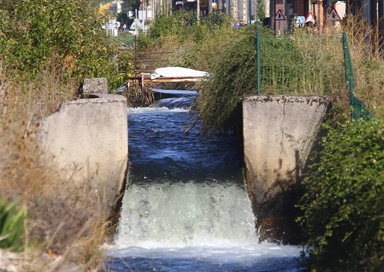 Fotos: Aparece el cadáver de una persona en el Canal Bajo del Bierzo en Cuatrovientos