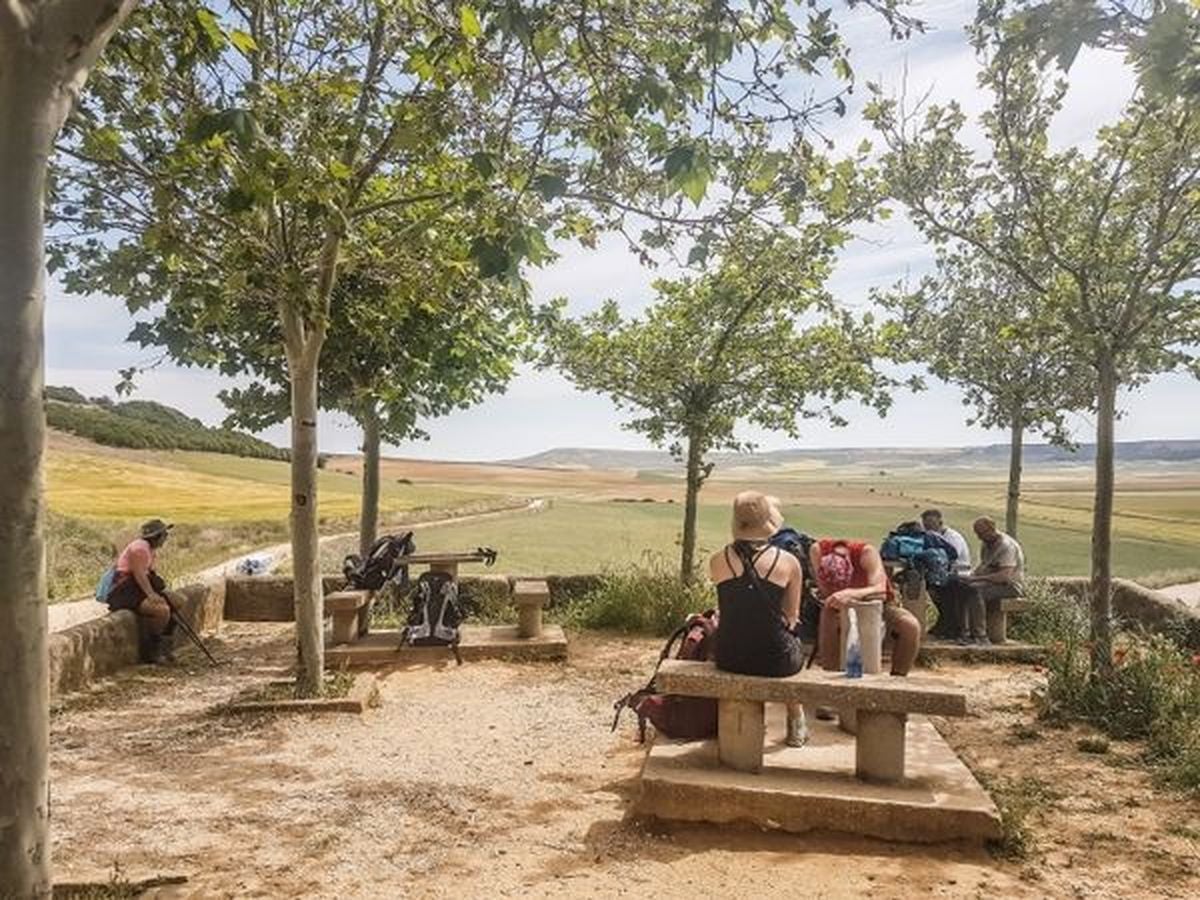 Fotos: El Camino, en fotos