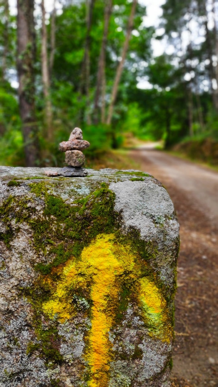 Fotos: El Camino, en fotos