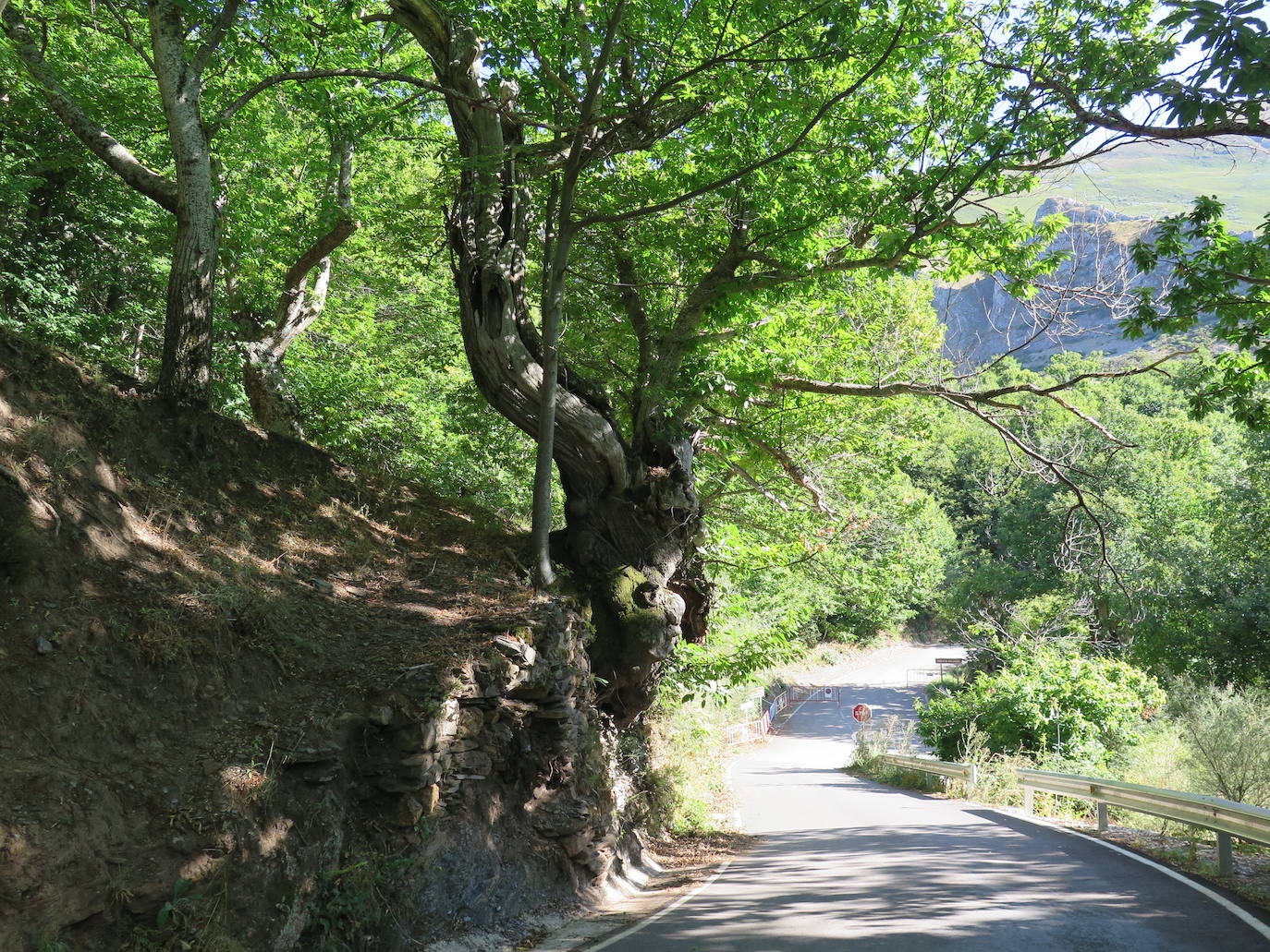 Fotos: La Tebaida Berciana respira de nuevo