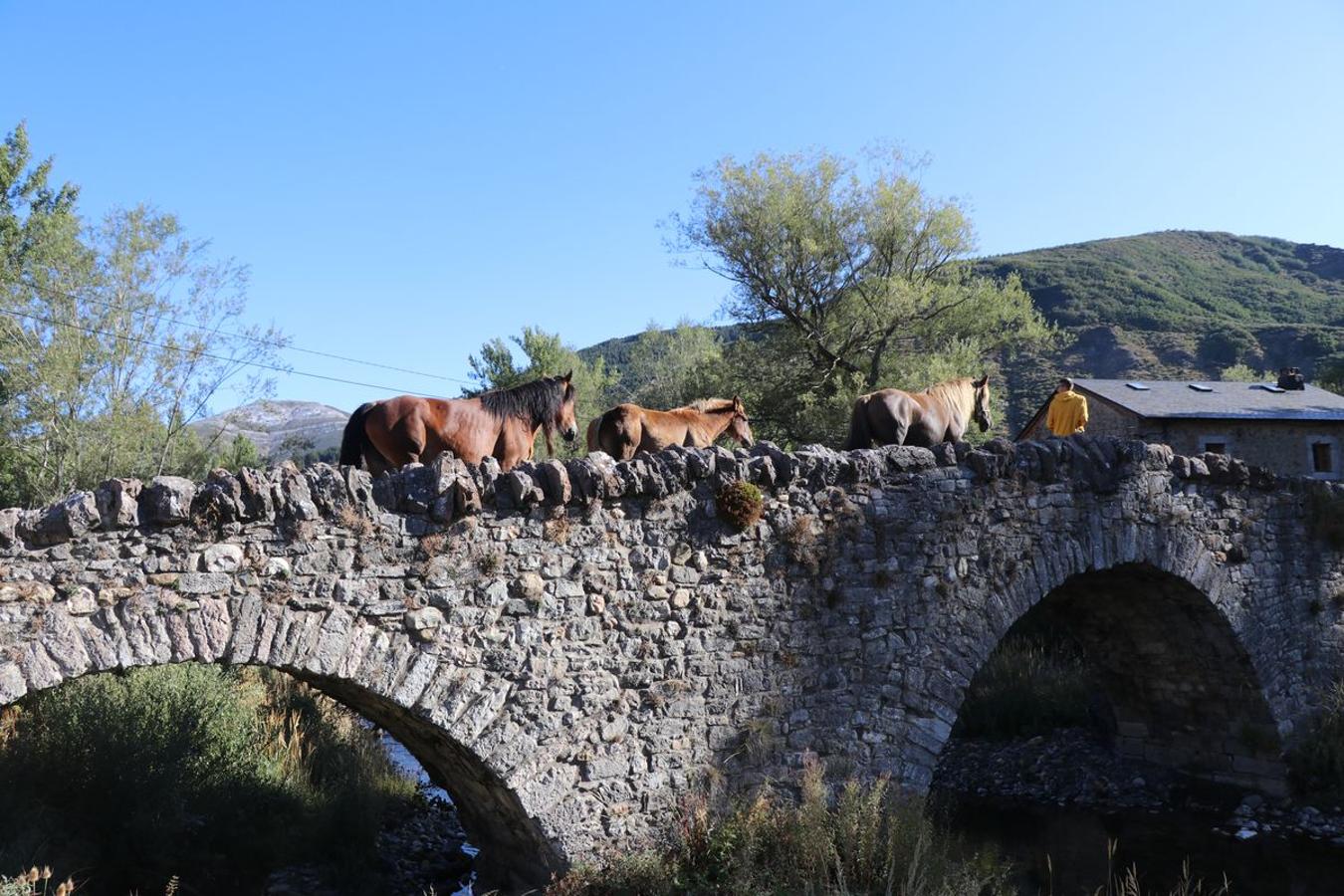 Fotos: Feria tradicional del Cristo de Lugueros 2019