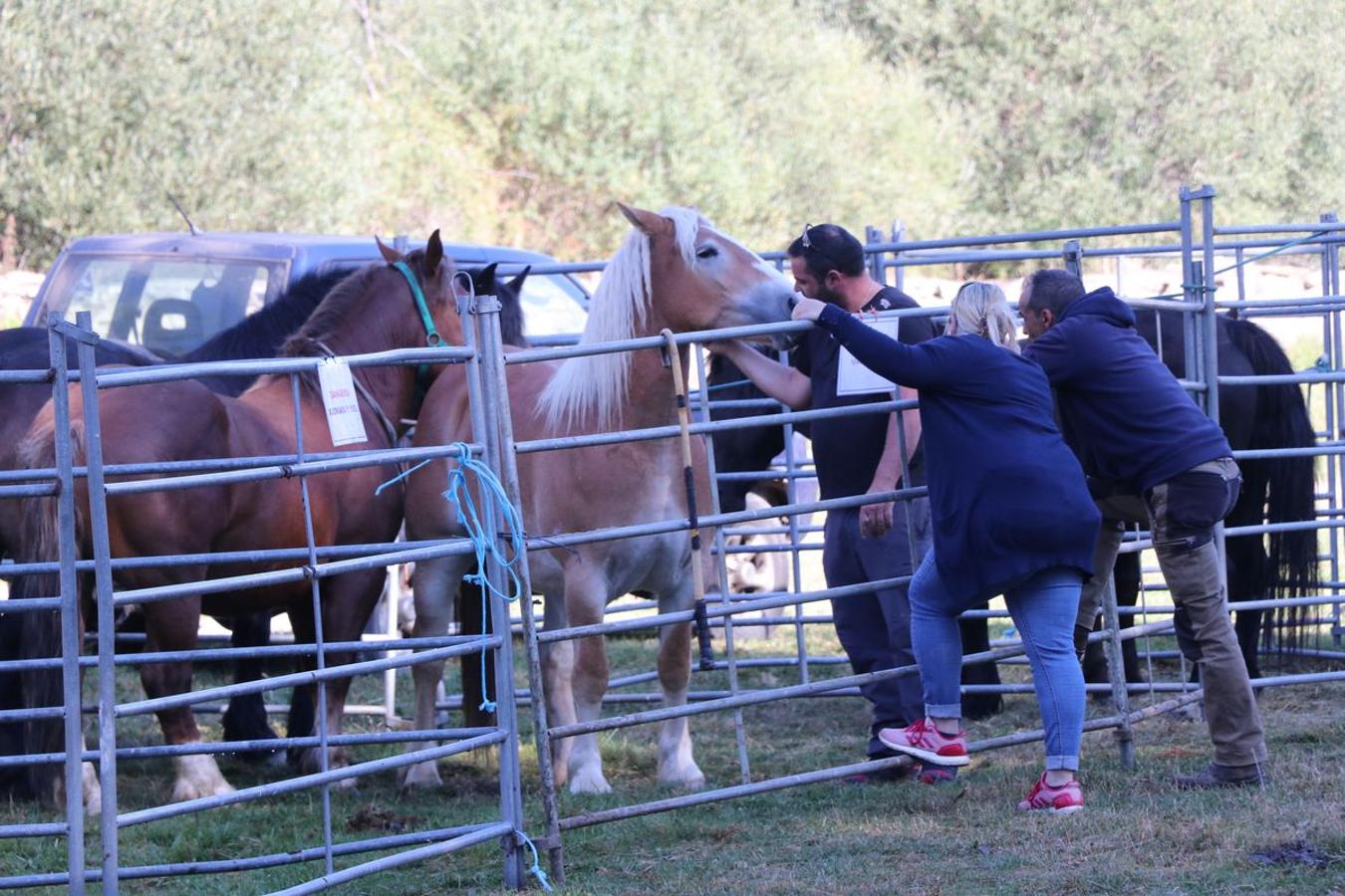 Fotos: Feria tradicional del Cristo de Lugueros 2019