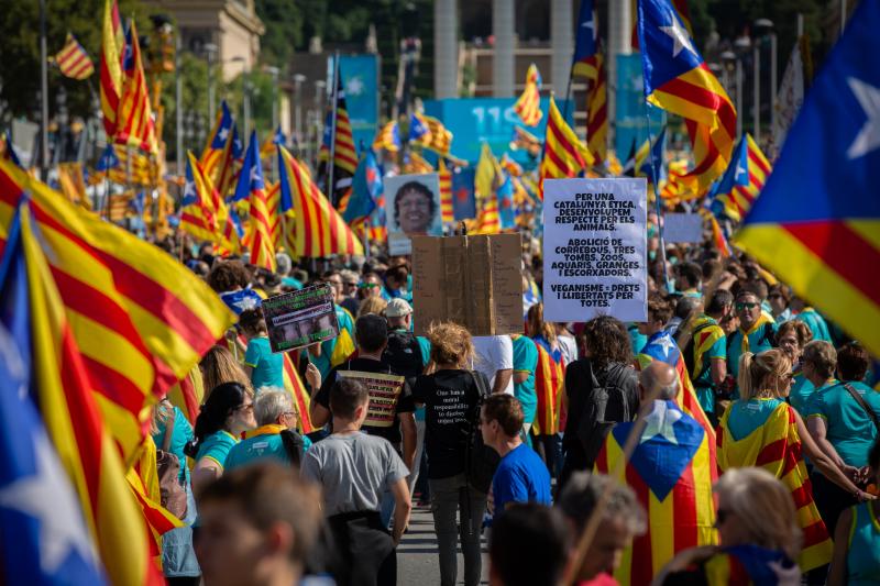 Cientos de miles de personas se manifestaron este miércoles en Barcelona a favor de la independencia y reclamando la libertad de los presos secesionistas. Según la Guardia Urbana, en torno a 600.000 personas participaron en la protesta organizada por la ANC y Ómnium Cultural, convertida ya en una tradición en el inicio político en Cataluña. La jornada terminó con el desalojo del parque de la Ciutadella de Barcelona tras dispersar a los cerca de 300 manifestantes independentistas que se concentraban las puertas del Parlament, entre insultos y momentos de tensión de los Mossos d'Esquadra con algunos grupos de activistas.