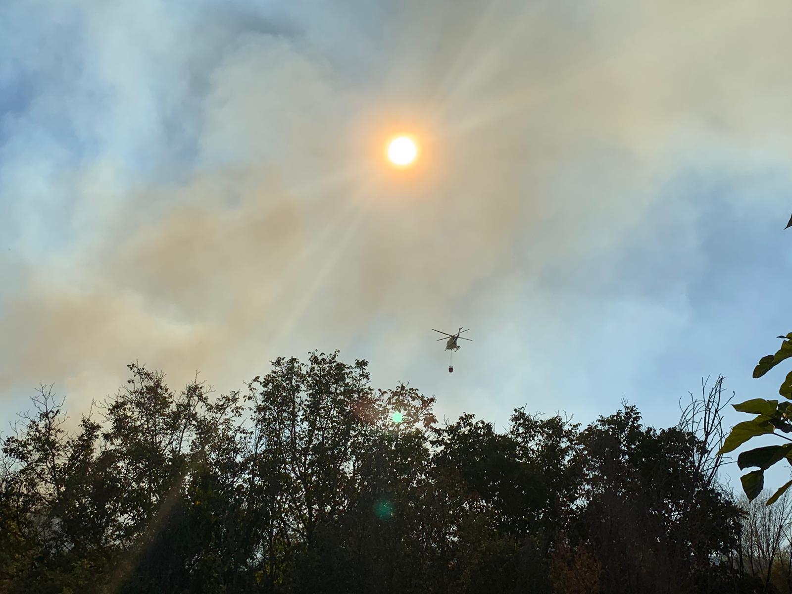 Fotos: Fuego en Santa Olaja