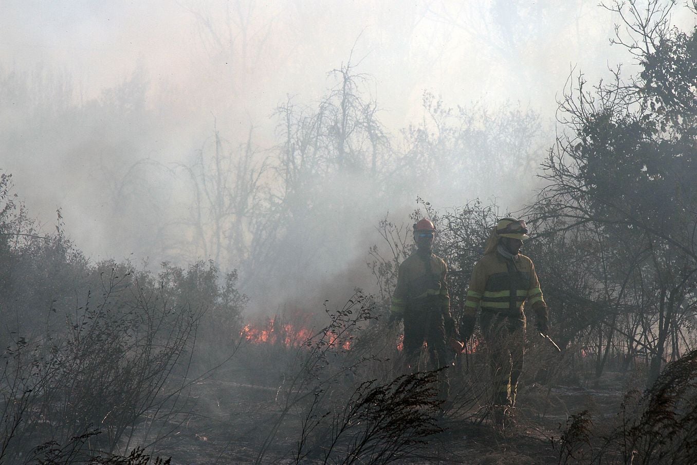 Imagen de los efectivos contraincendios trabajando en la zona.