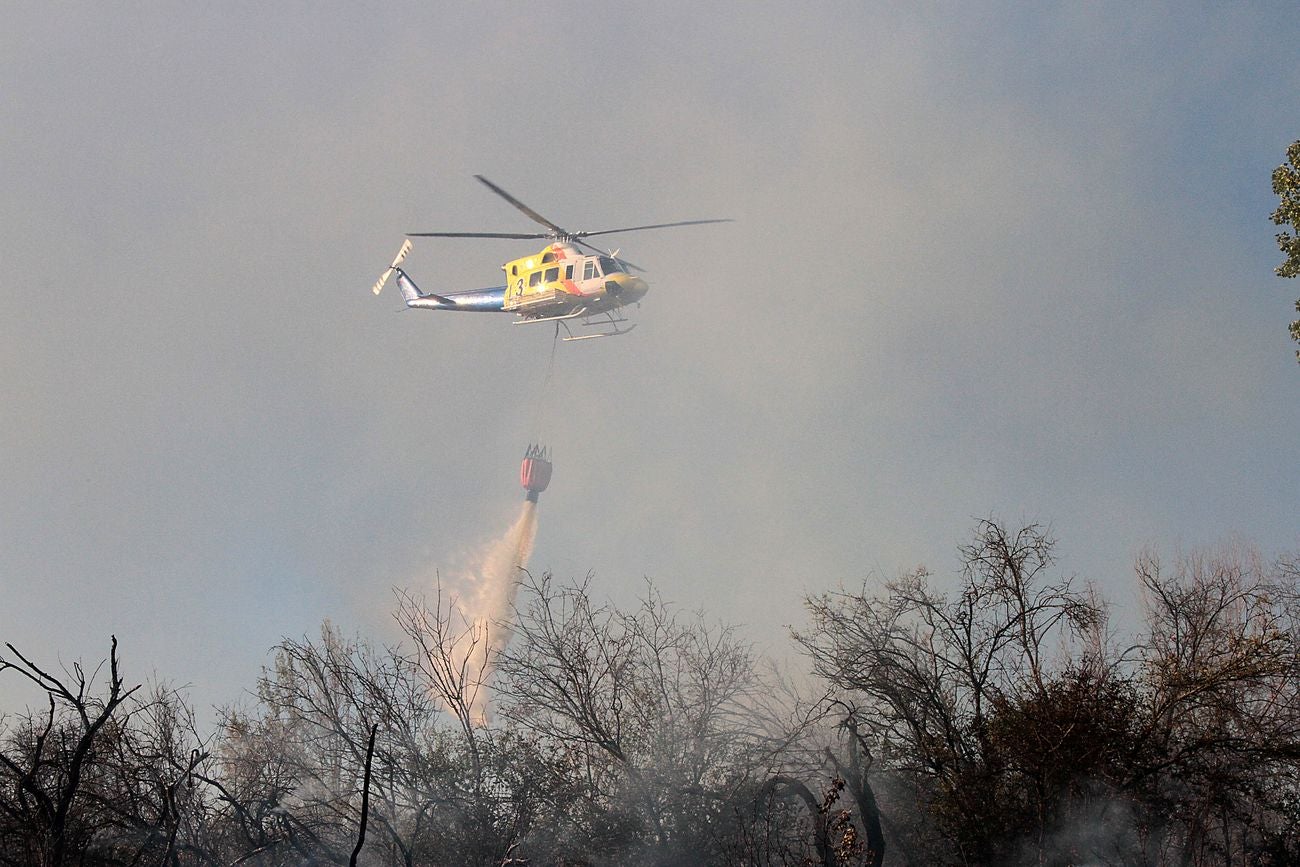 Imagen de los efectivos contraincendios trabajando en la zona.